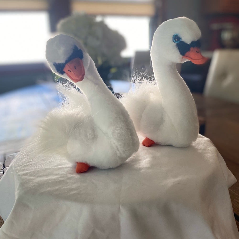 Ty Gracie Swan